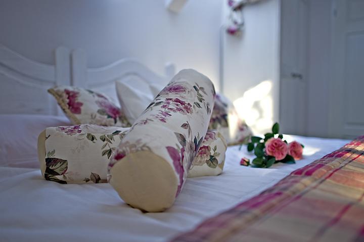 Modra Sikorka Villa Smardzewice Rom bilde